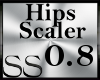 *SS Hip Scaler 0.8
