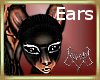Tazmia ears