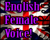 *N English VoiceBox