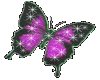 COLOR CHANGING BUTTERFLY