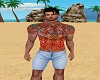 enssemble babacool h