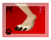 Moff's Anyskin Paws (F)