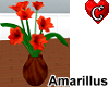Amarillus Vase