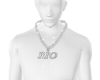 custom rio