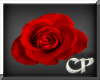 [CP]AT Roses Throw F