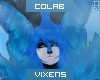 :V:Coa Hair