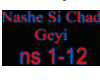 Nashe si chad geyi