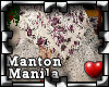 !P Manton de Manila 3