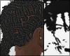 Quavo Locs v2