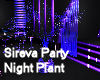 Sireva Night Party Plant