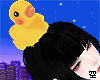☆ Duck Kawaii   ☆