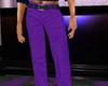 ~TQ~purple casual pants