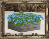 PHV Blue Flower Box