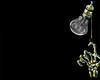 Z* Naughty Chain Boots B