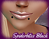 [SS] Spiderbites Black