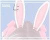 T! Bunny Ears - Pinku