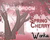 W° Spring Cherry .Path