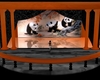 LUVED:CHINESE PANDA ROOM