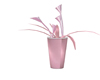 Popin Pink Plant