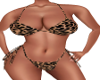 Sexy Leopard  Bikini