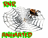 ~RnR~GIANT WEB SPIDER