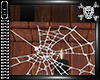  13  Spider Web I