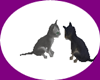 Cute Kittens~animated