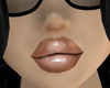 fentygloss