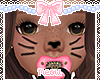 ♛Kitty Skin Chocolate