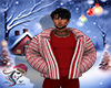 Holiday Winter Jacket 2