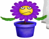 Flower Pot Pet w/Trigs