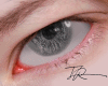 T. Eyes Gray