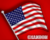 CH*Flag USA July