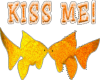 fish kiss me