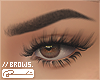 // Brows. MH-Brunette
