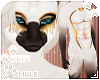 [Pets] Evy | abs skin