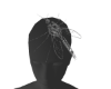 Il mosquito head