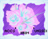 ꨄStacy Rosesꨄ