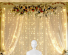 Gold backdrop background