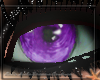 Aqua~ Purple Eyes m/f