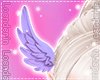 Cupid Wings F ❤️