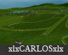xlx Race Track Grass