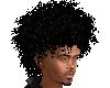 TEF PHIL CURLY AFRO