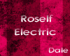 :D Roself Electric
