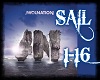 (B) Awolnation - Sail