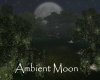 AV Ambient Misty Moon