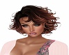 Primeira Dama Auburn