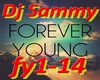 Dj Sammy - Forever Young