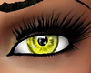 *KV* Bright Yellow