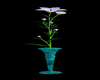Blue vase white flower